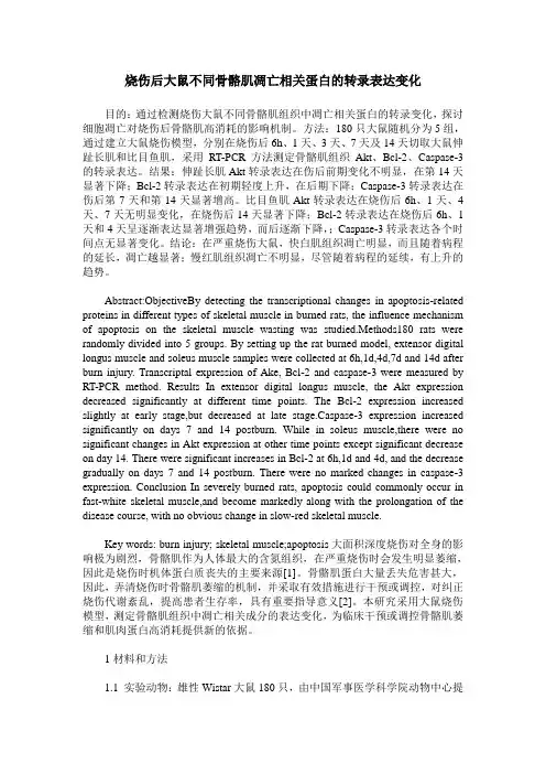 烧伤后大鼠不同骨骼肌凋亡相关蛋白的转录表达变化