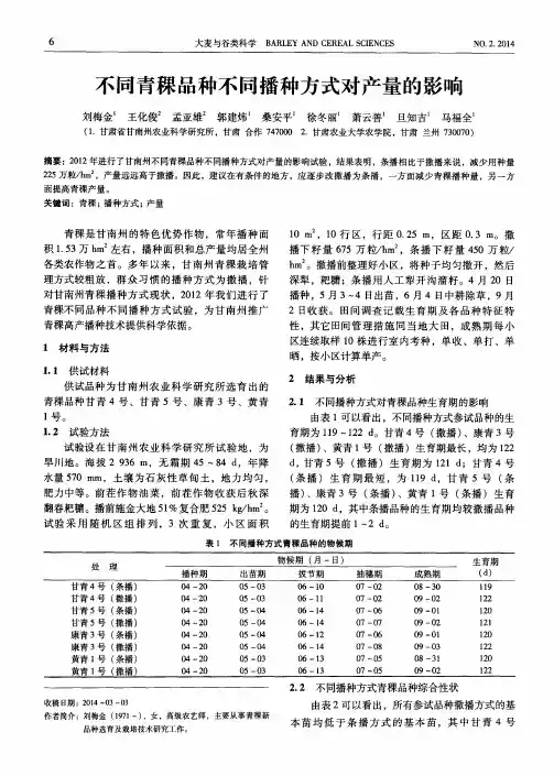 不同青稞品种不同播种方式对产量的影响