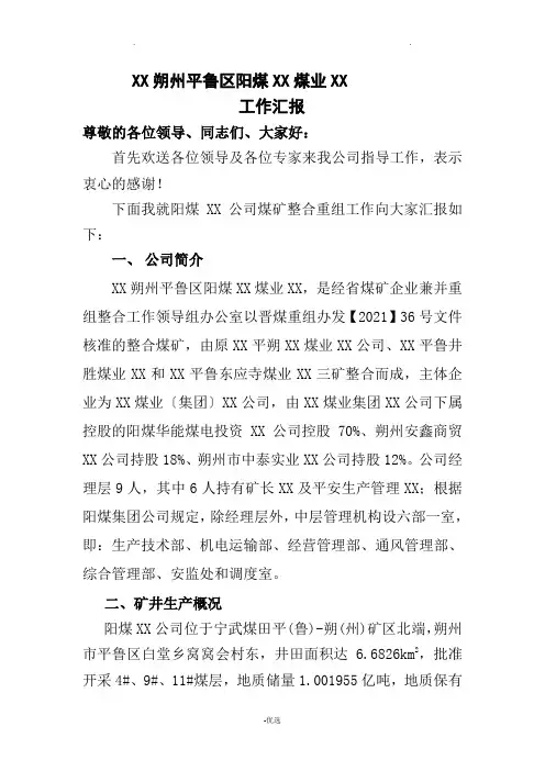 公司整合汇报