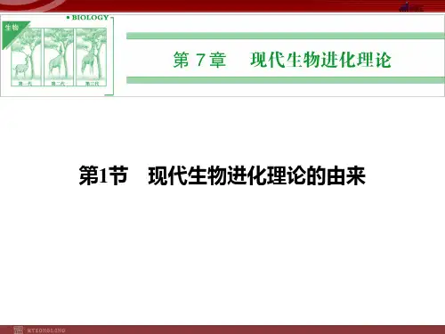 高中生物必修2第7单元复习课件：现代生物进化理论