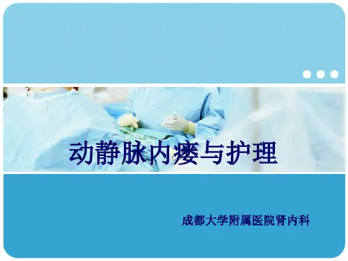 动静脉内瘘护理ppt