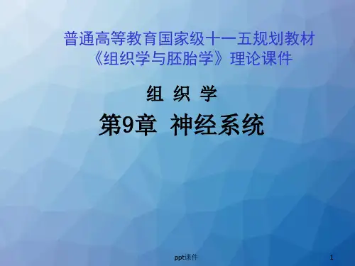 组织学与胚胎学--神经系统  ppt课件