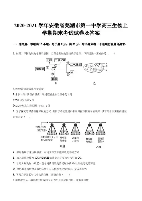 2020-2021学年安徽省芜湖市第一中学高三生物上学期期末考试试卷及答案