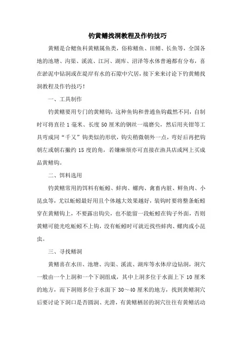 钓鱼技巧：钓黄鳝找洞教程及作钓技巧