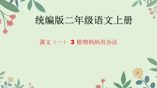 3 植物妈妈有办法 课件(共24张PPT)