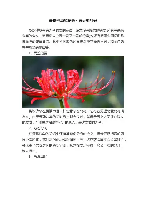 曼珠沙华的花语：着无望的爱