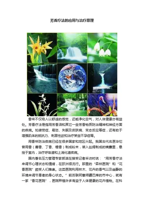 芳香疗法的应用与治疗原理