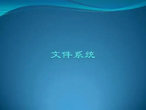 文件系统
