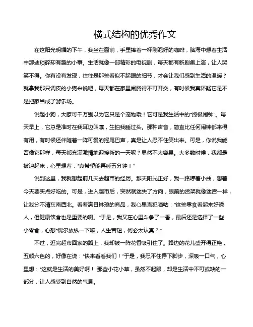 横式结构的优秀作文