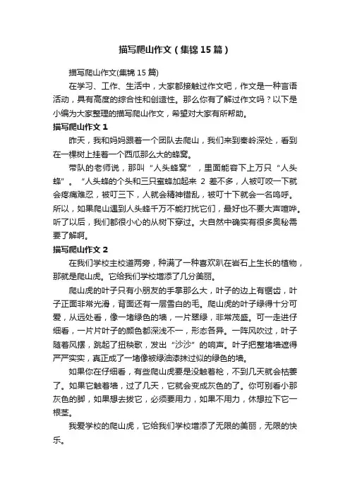 描写爬山作文（集锦15篇）