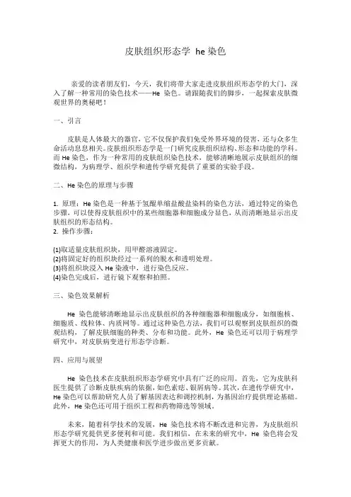 皮肤组织形态学 he染色