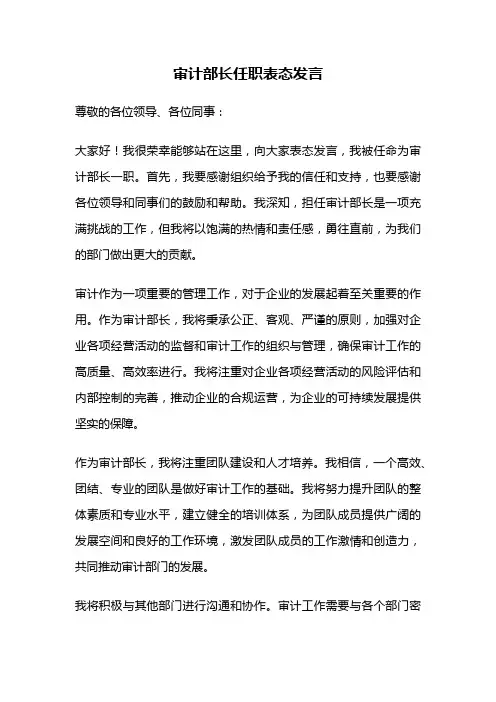 审计部长任职表态发言