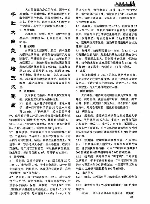 冬贮大白菜栽培技术要点