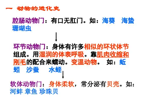 八年级生物上册总复习ppt课件很实用