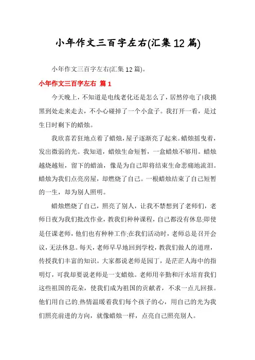 小年作文三百字左右(汇集12篇)