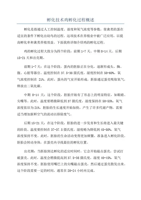 孵化技术鸡孵化过程概述