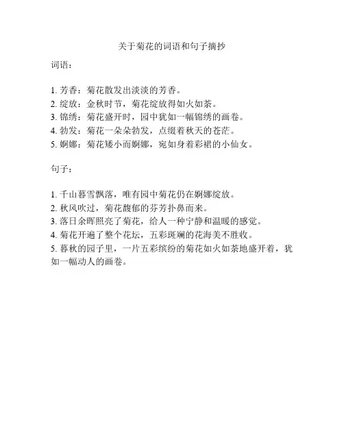 关于菊花的词语和句子摘抄