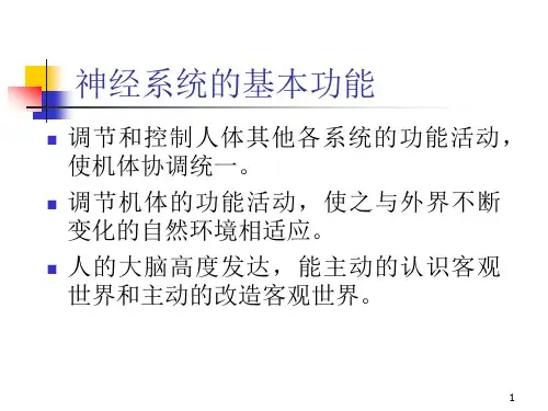 周围神经系统解剖与功能ppt课件