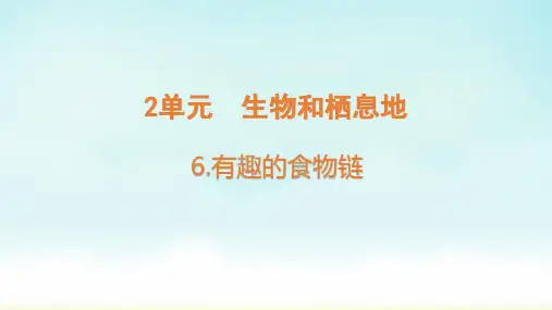 苏教版六年级下册科学 有趣的食物链(课件)