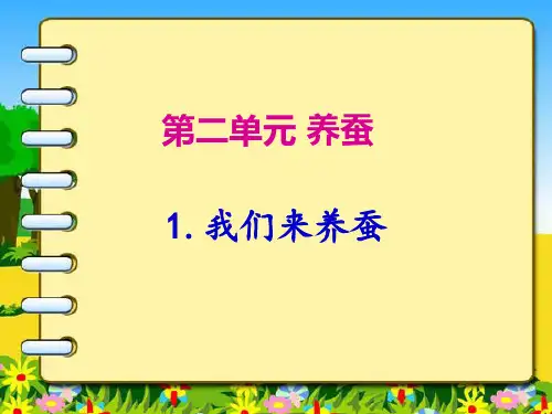 四年级下册科学课件-2.1我们来养蚕 ｜苏教版  (共13张PPT)