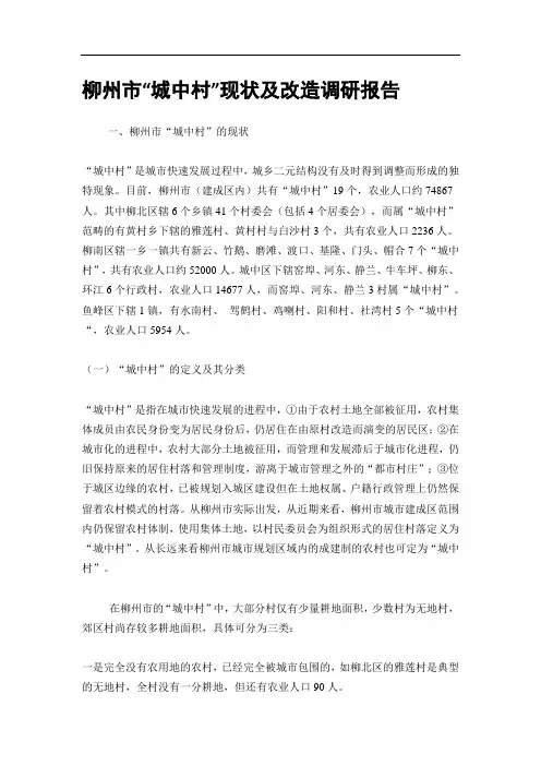 柳州市“城中村”现状及改造调研报告