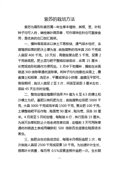 紫苏的栽培方法