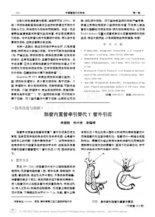 胆管内置管牵引替代T管外引流