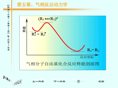 化学反应动力学-第五章-气相反应动力学