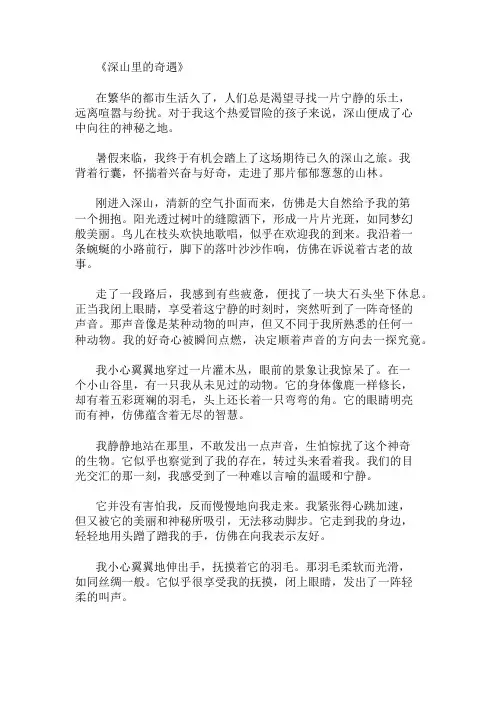 小学作文范文深山里的奇遇