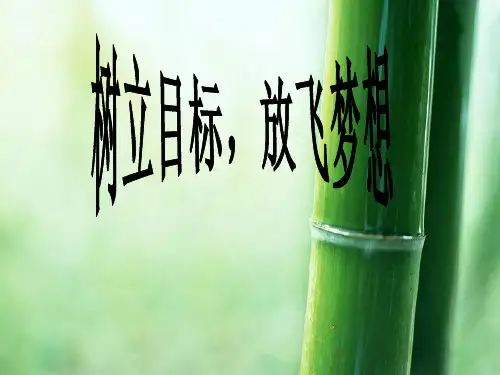 规划人生,放飞梦想