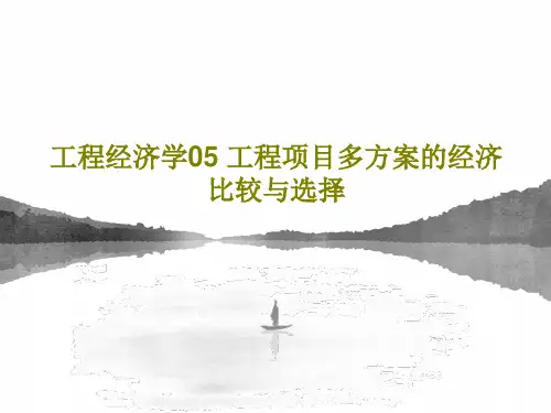 工程经济学05 工程项目多方案的经济比较与选择共23页