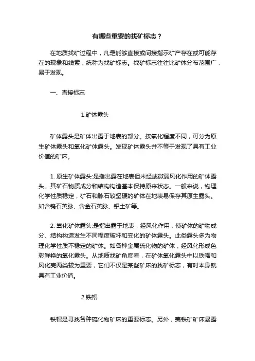 有哪些重要的找矿标志？