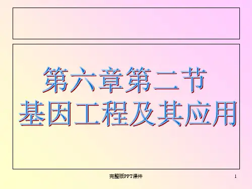 [完整]第17课基因工程及其应用ppt课件
