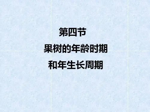 第三章-果树的年龄时期