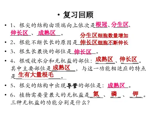 济南版生物八上4.1.6芽的类型和发育课件
