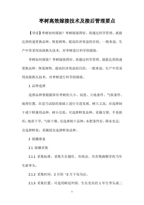 枣树高效嫁接技术及接后管理要点