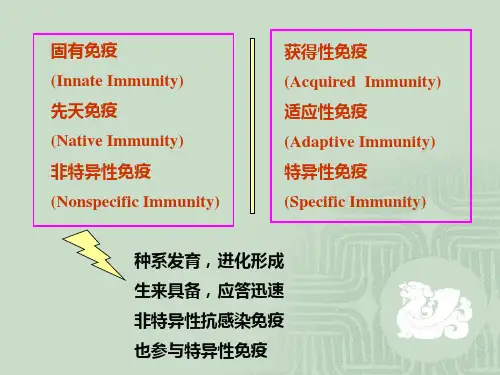 免疫学固有免疫