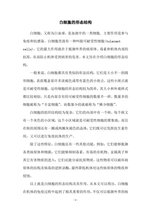白细胞的形态结构