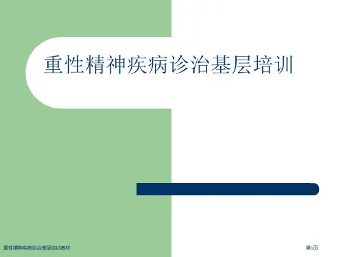 重性精神疾病诊治基层培训教材