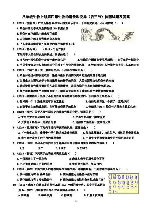八年级生物上册第四章《生物的遗传和变异》(后三节)学案检测试题及答案