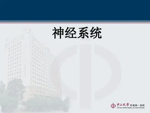 核医学课件：神经系统