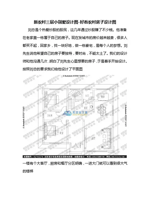 新农村三层小别墅设计图-实用农村房子设计图