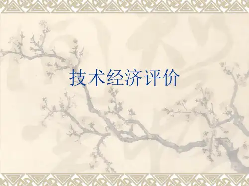 技术经济评价