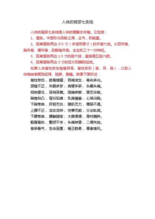 人体的背部七条线