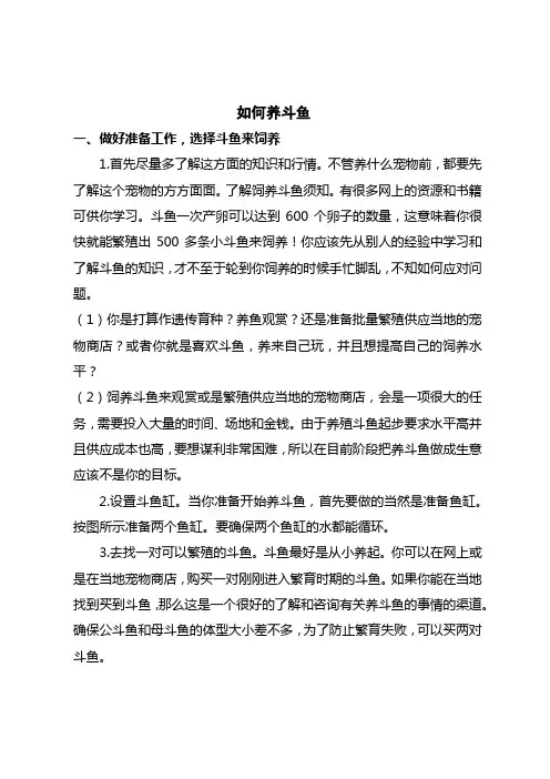 如何养斗鱼