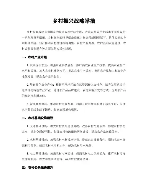 乡村振兴战略举措