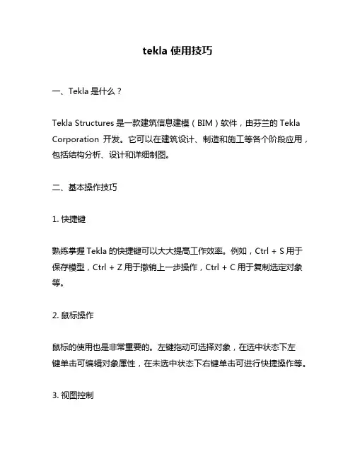 tekla使用技巧
