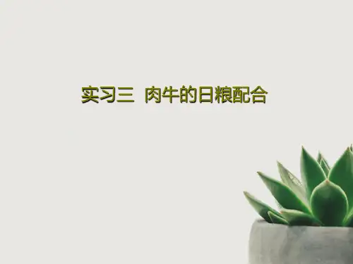 实习三  肉牛的日粮配合共21页PPT