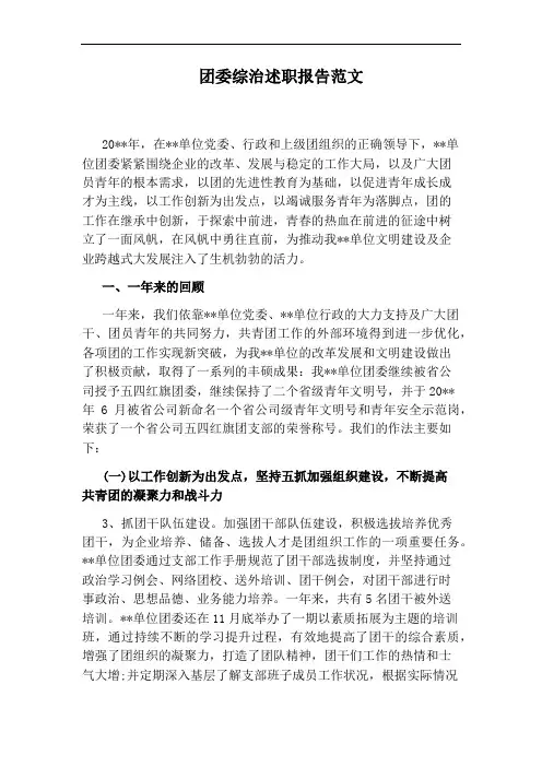 团委综治述职报告范文