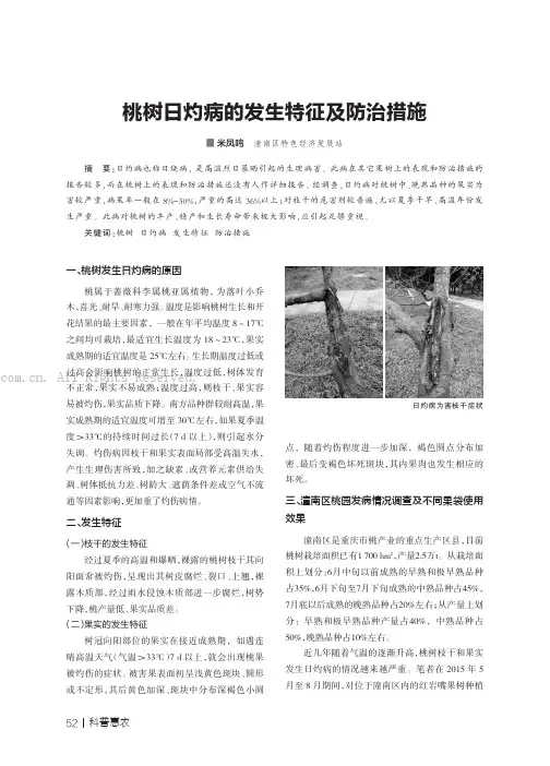 桃树日灼病的发生特征及防治措施